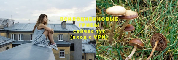 СК Алексеевка