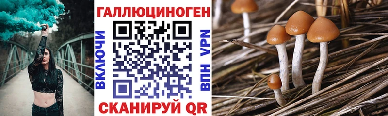 omg сайт  Шацк  Галлюциногенные грибы прущие грибы 